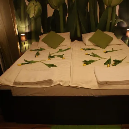 Bed and breakfast M4 Zyrardow